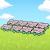 Field of Flowers
