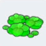 Duckweed