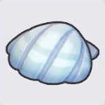Seashell